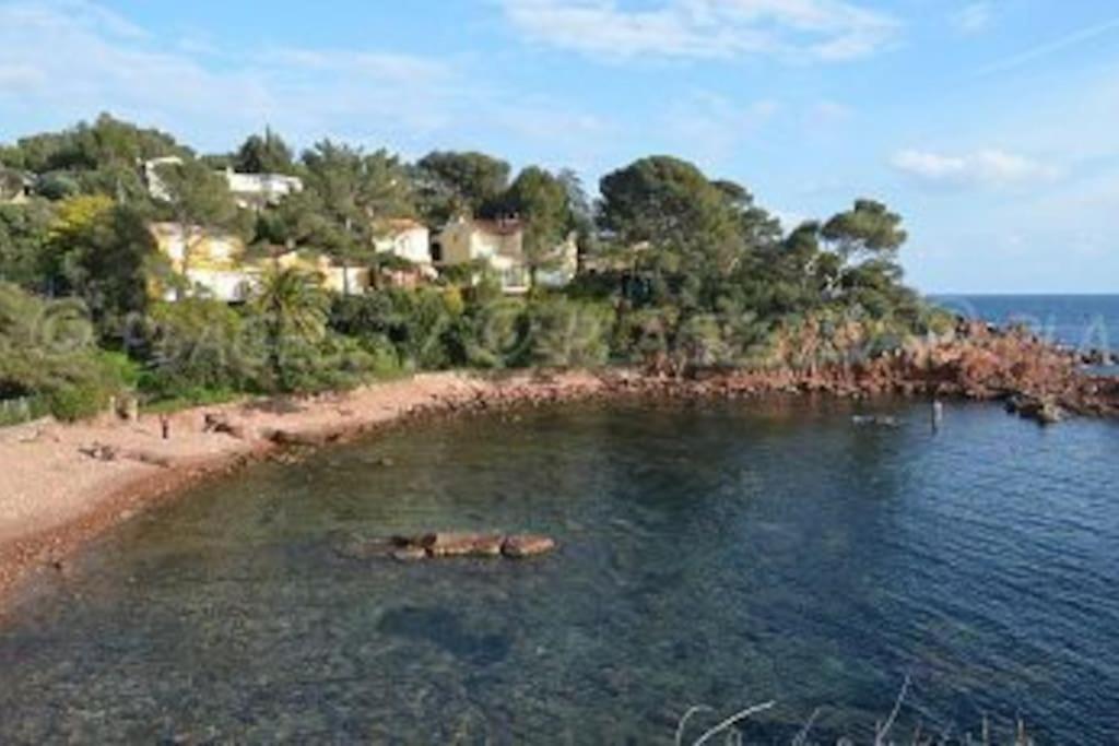 Appartement L'Evasion, Vue Mer, Plages A Pied Fréjus Kültér fotó